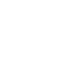 Investment options