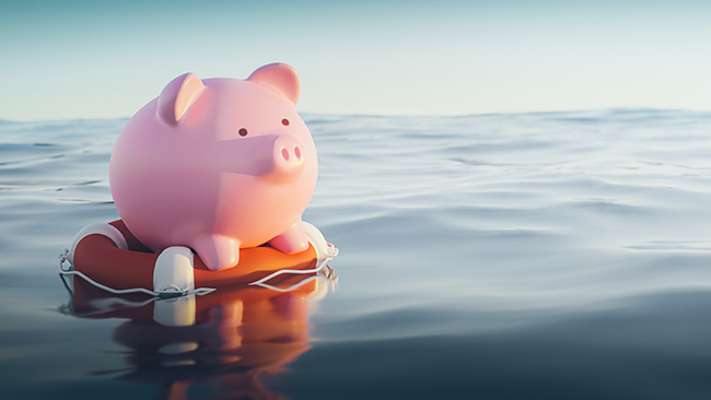 piggy bank 