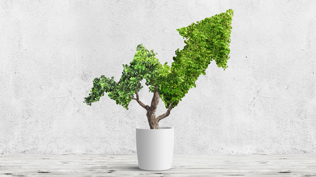 Article super growth