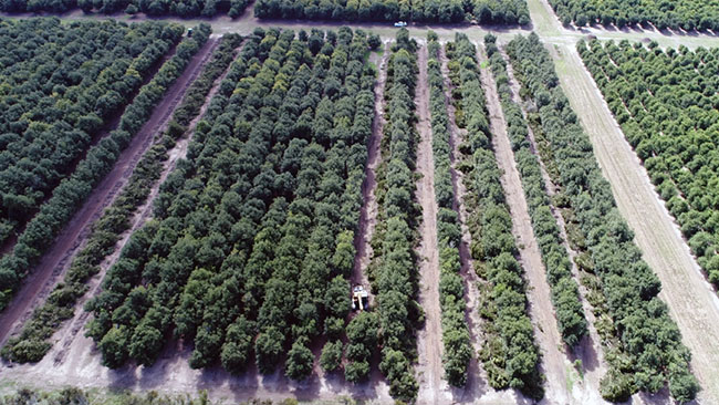 Investing in Central Queensland