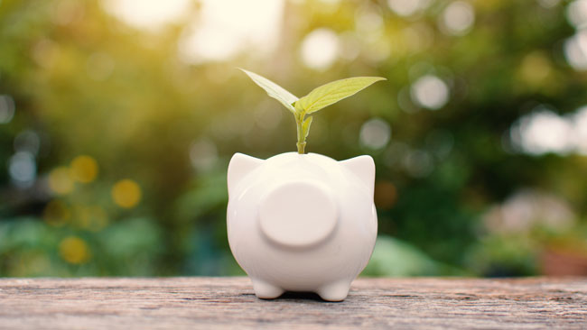 savings-accumulation-growth