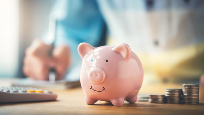 maxamise contributions