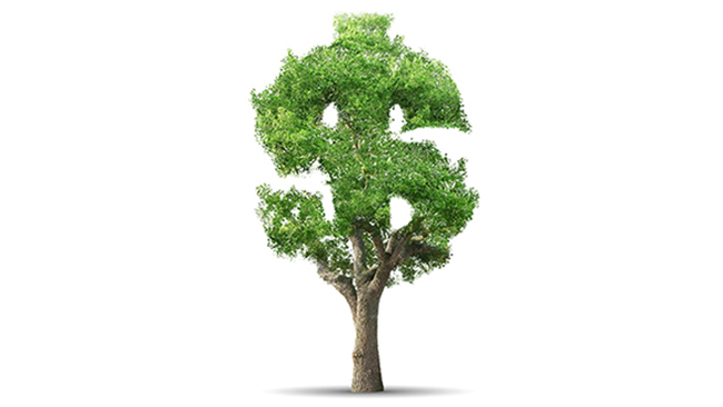 salary sacrifice