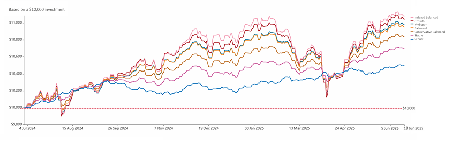 Investment option performance 2024-25